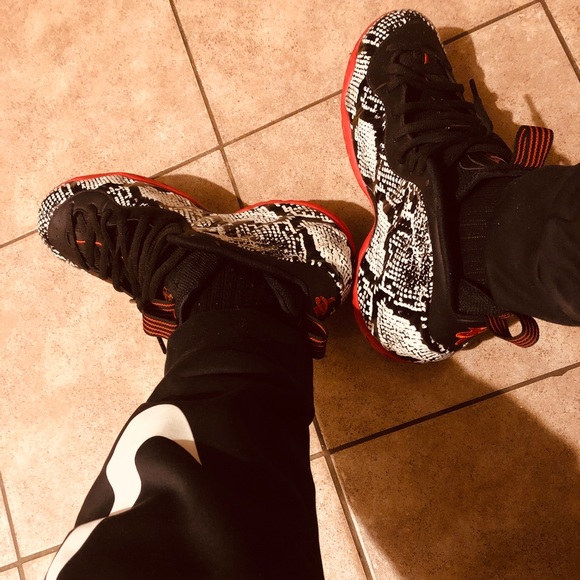 Meet your Posher, Dell - Picture 1 of 1